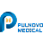 Pulnovo Medical Limited（帕母医疗） - Global Pioneer in Pulmonary Artery Denervation for Pulmonary Hyperte