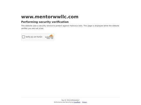 Mentor Worldwide LLC